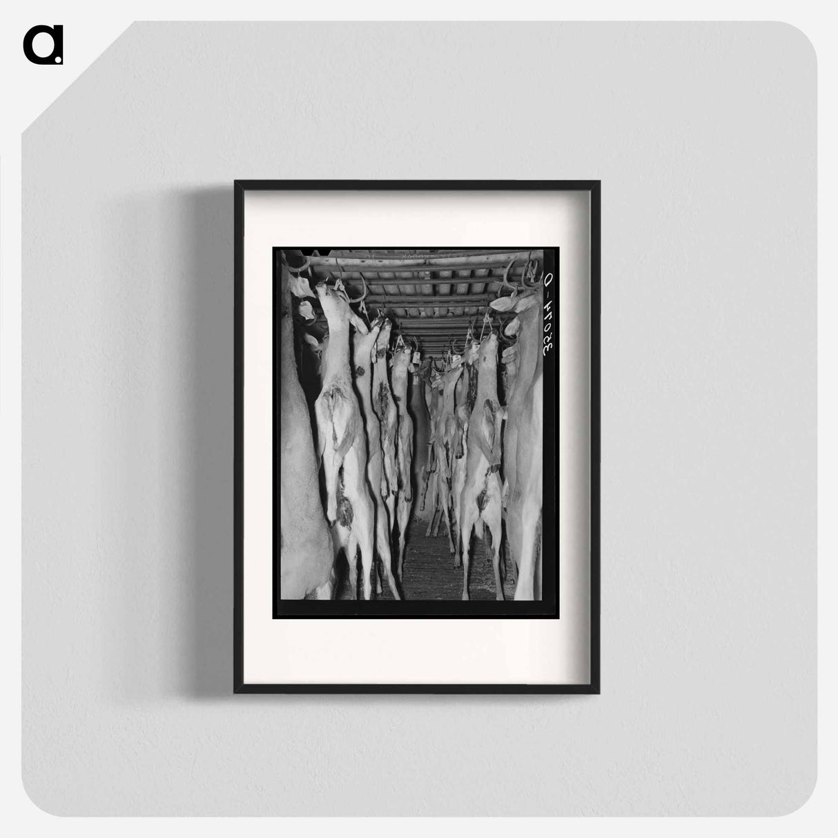 アートポスター-Deer in Cold Storage, Mason, Texas
 - ラッセル リー Poster.