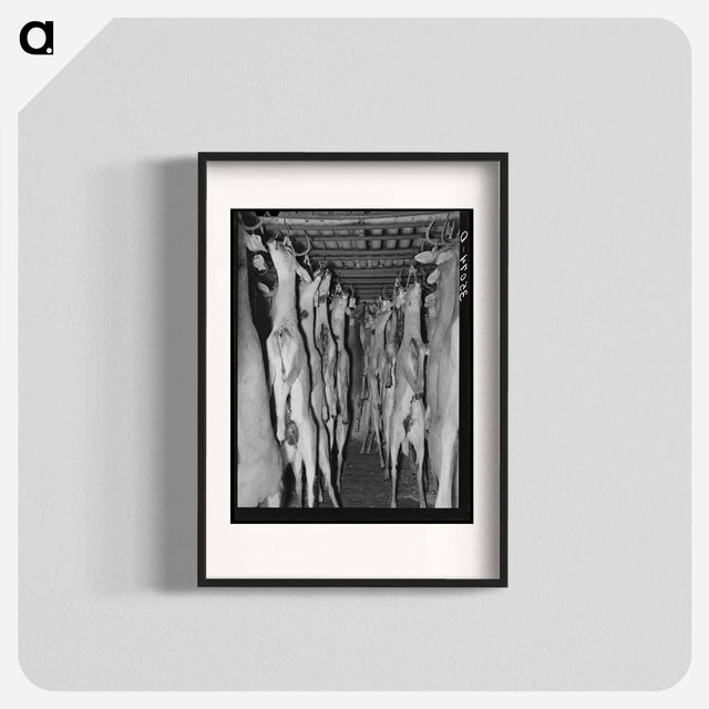 アートポスター-Deer in Cold Storage, Mason, Texas
 - ラッセル リー Poster.