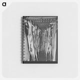 アートメモ帳-Deer in Cold Storage, Mason, Texas
 - ラッセル リー Memo.