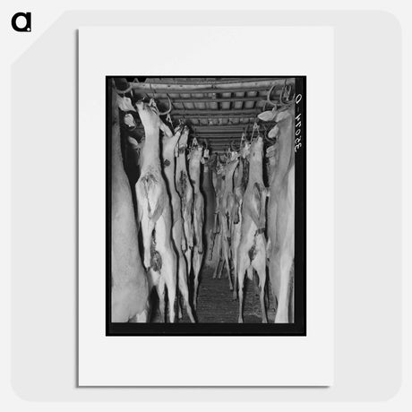 アートポスター-Deer in Cold Storage, Mason, Texas
 - ラッセル リー Poster.