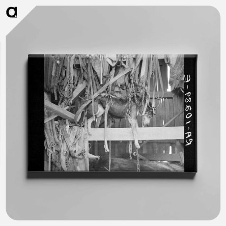 アートパネル-Police Dog Drowned in Flood, Indiana
 - ラッセル リー Canvas.