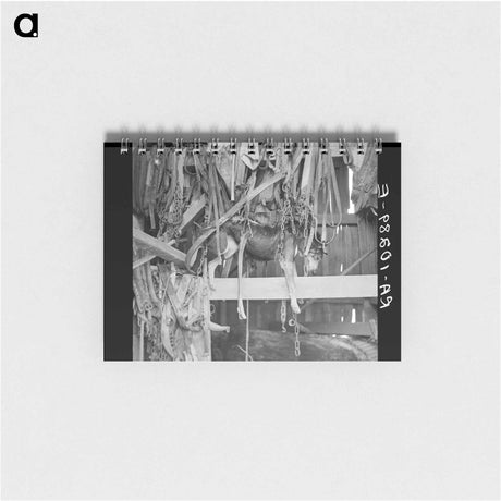 アートメモ帳-Police Dog Drowned in Flood, Indiana
 - ラッセル リー Memo.