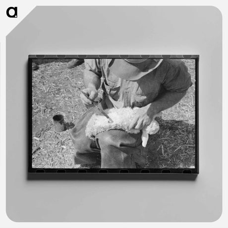 アートパネル-Kimble County Ranch Scene
 - ラッセル リー Canvas.