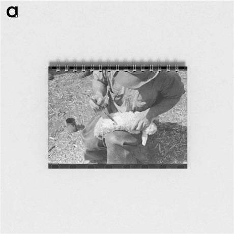 アートメモ帳-Kimble County Ranch Scene
 - ラッセル リー Memo.