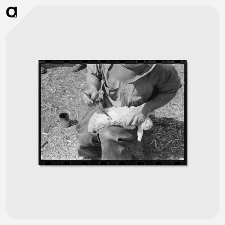 アートポストカード-Kimble County Ranch Scene
 - ラッセル リー Postcard.