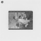 アートメモ帳-Hand Shearing of Newly-Born Kid, Kimble County, Texas
 - ラッセル リー Memo.