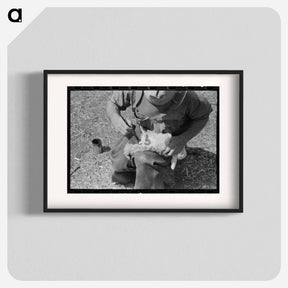 アートポスター-Newly Born Kid, Kimble County, Texas
 - ラッセル リー Poster.
