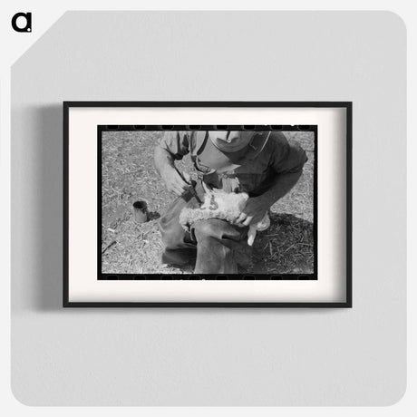 アートポスター-Newly Born Kid, Kimble County, Texas
 - ラッセル リー Poster.