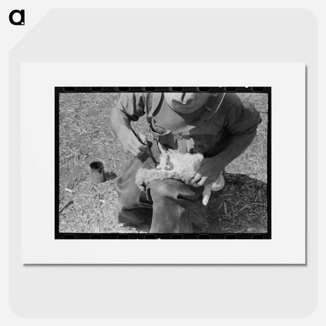 アートポスター-Newly Born Kid, Kimble County, Texas
 - ラッセル リー Poster.