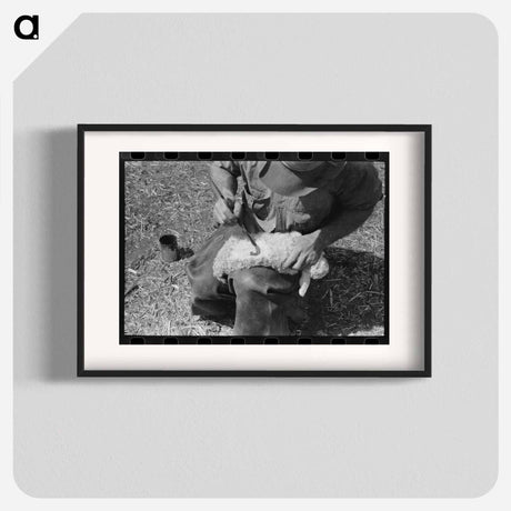 アートポスター-Kimble County Ranch Kid Identification
 - ラッセル リー Poster.