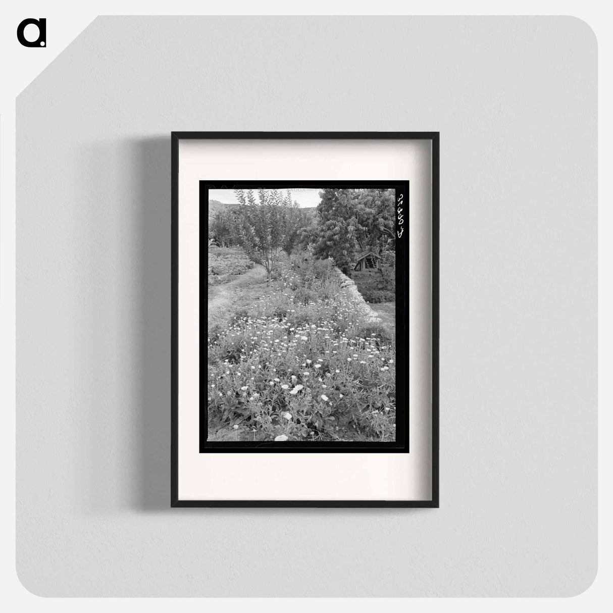 アートポスター-Flower Garden, Dixon, New Mexico
 - ラッセル リー Poster.