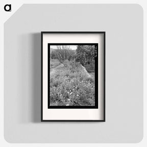 アートポスター-Flower Garden, Dixon, New Mexico
 - ラッセル リー Poster.