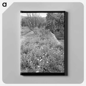 アートパネル-Flower Garden, Dixon, New Mexico
 - ラッセル リー Canvas.