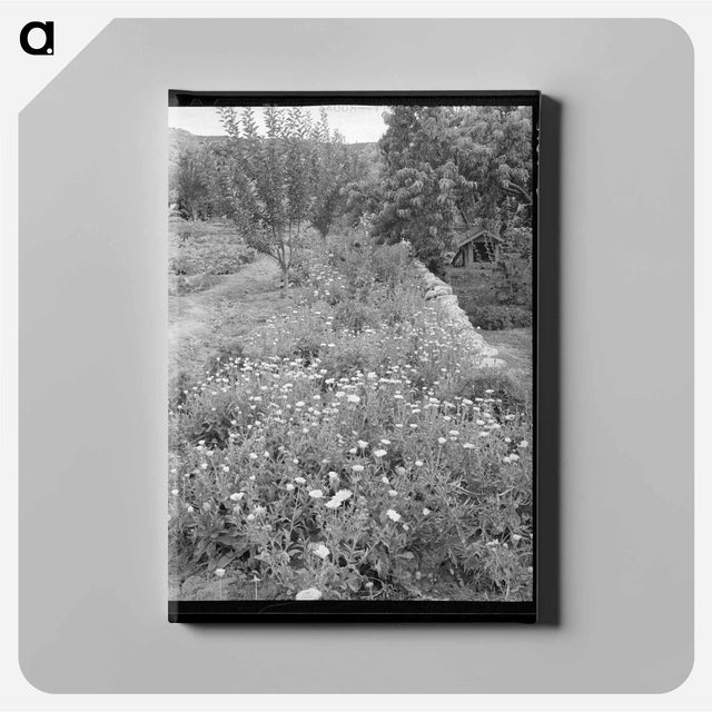 アートパネル-Flower Garden, Dixon, New Mexico
 - ラッセル リー Canvas.