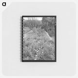 アートメモ帳-Flower Garden, Dixon, New Mexico
 - ラッセル リー Memo.