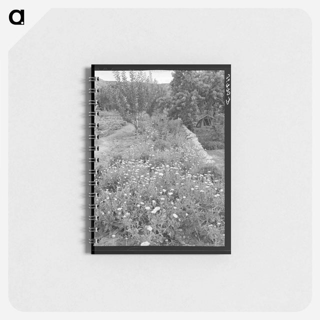 アートメモ帳-Flower Garden, Dixon, New Mexico
 - ラッセル リー Memo.