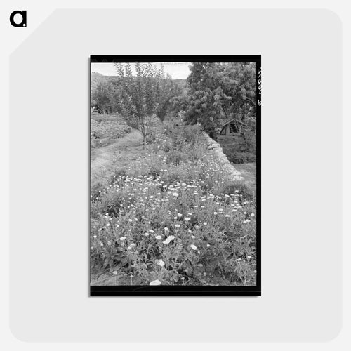 Flower Garden, Dixon, New Mexico
 - ラッセル リー Postcard.