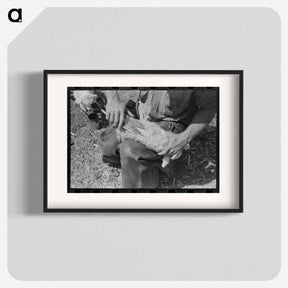 アートポスター-Kimble County Ranch: Newborn Identification
 - ラッセル リー Poster.