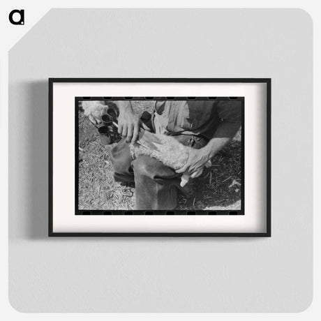 アートポスター-Kimble County Ranch: Newborn Identification
 - ラッセル リー Poster.