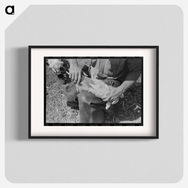 アートポスター-Kimble County Ranch: Newborn Identification
 - ラッセル リー Poster.