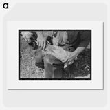 アートポスター-Kimble County Ranch: Newborn Identification
 - ラッセル リー Poster.