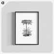 アートポスター-Reinforced Tree Fern
 - 大英図書館 Poster.