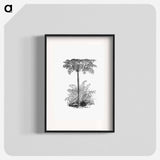 アートポスター-Reinforced Tree Fern
 - 大英図書館 Poster.