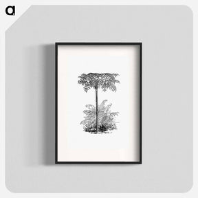 アートポスター-Reinforced Tree Fern
 - 大英図書館 Poster.