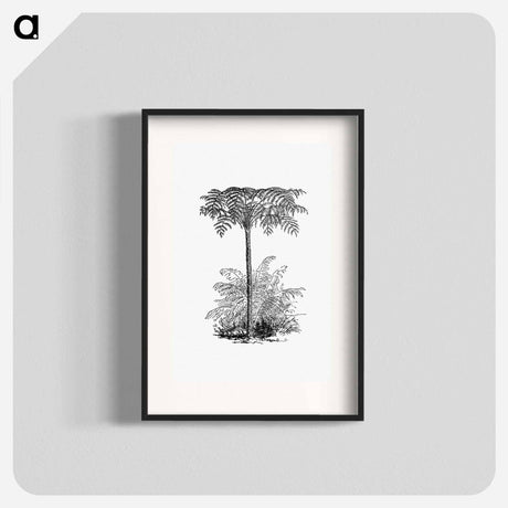 アートポスター-Reinforced Tree Fern
 - 大英図書館 Poster.