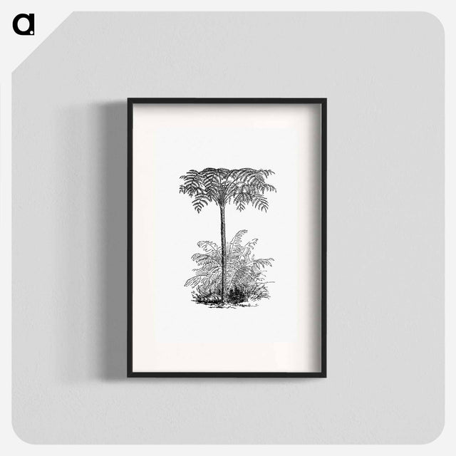 アートポスター-Reinforced Tree Fern
 - 大英図書館 Poster.