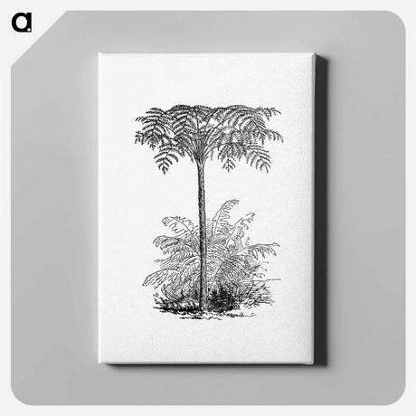 アートパネル-Reinforced Tree Fern
 - 大英図書館 Canvas.