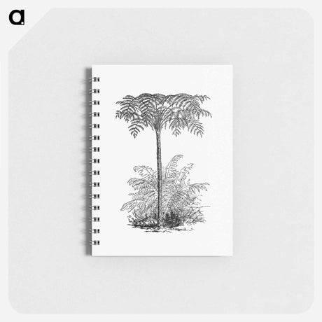 アートメモ帳-Reinforced Tree Fern
 - 大英図書館 Memo.