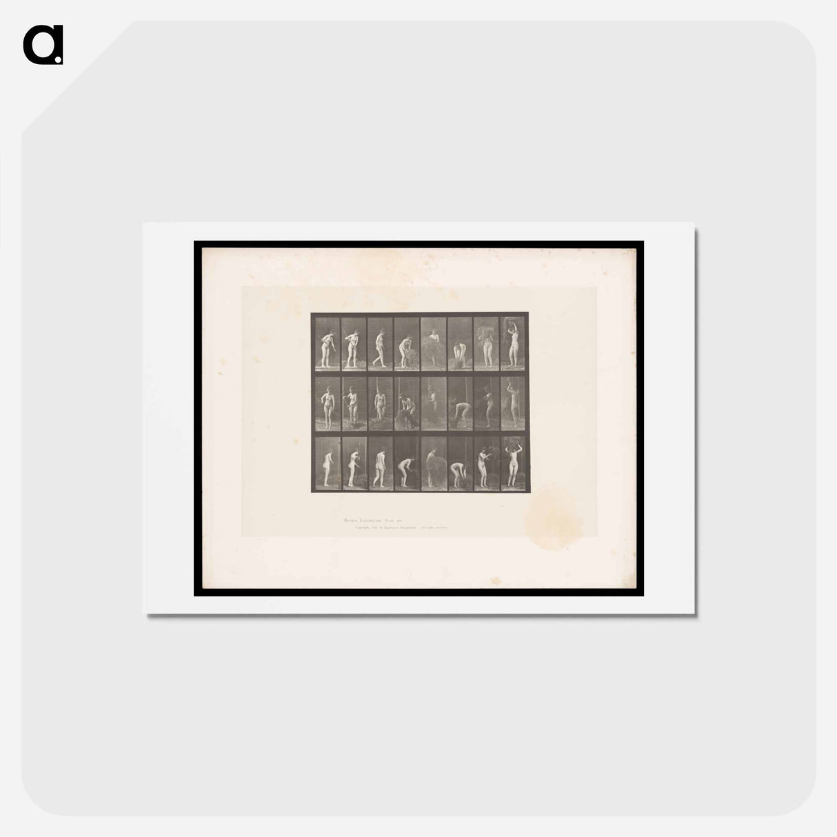 アートポストカード-Hay Raking Woman
 - エドワード マイブリッジ Postcard.