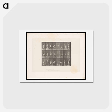 アートポストカード-Hay Raking Woman
 - エドワード マイブリッジ Postcard.