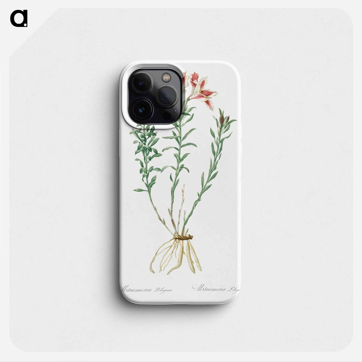 Lily of the Incas - ピエール ジョゼフ ルドゥーテ Phone Case.