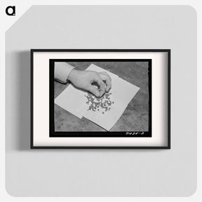 アートポスター-Guayule Rubber Worms
 - ラッセル リー Poster.