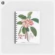 アートメモ帳-Plumeria
 - クリーブランド美術館 Memo.