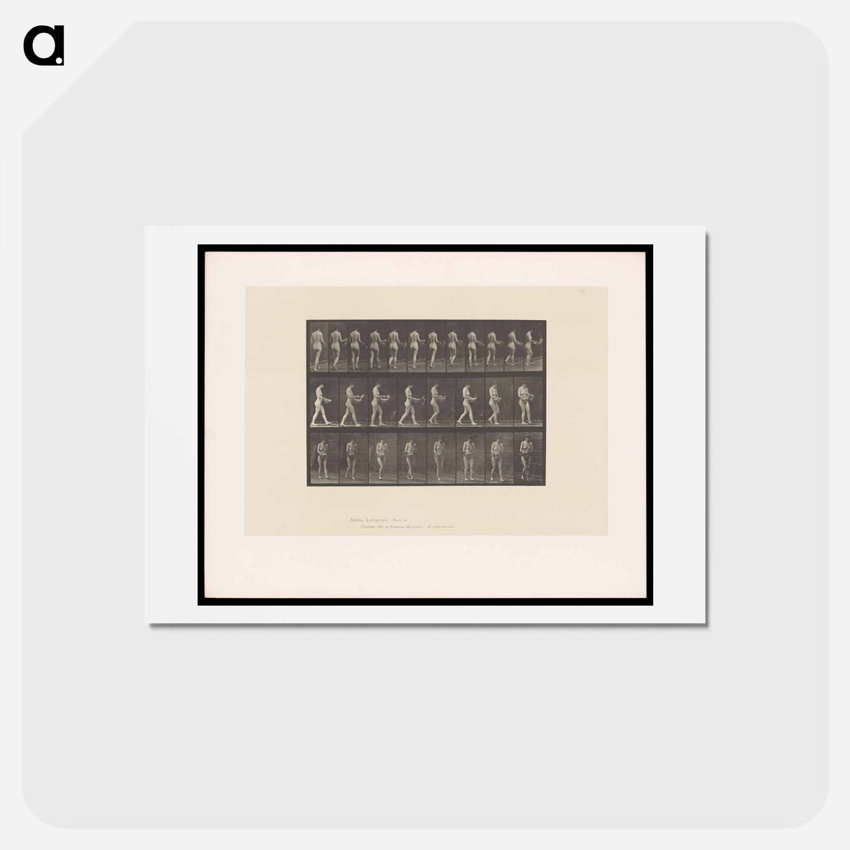 アートポストカード-Naked Woman Walking
 - エドワード マイブリッジ Postcard.