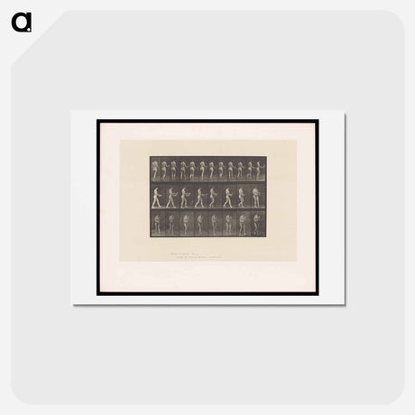 アートポストカード-Naked Woman Walking
 - エドワード マイブリッジ Postcard.