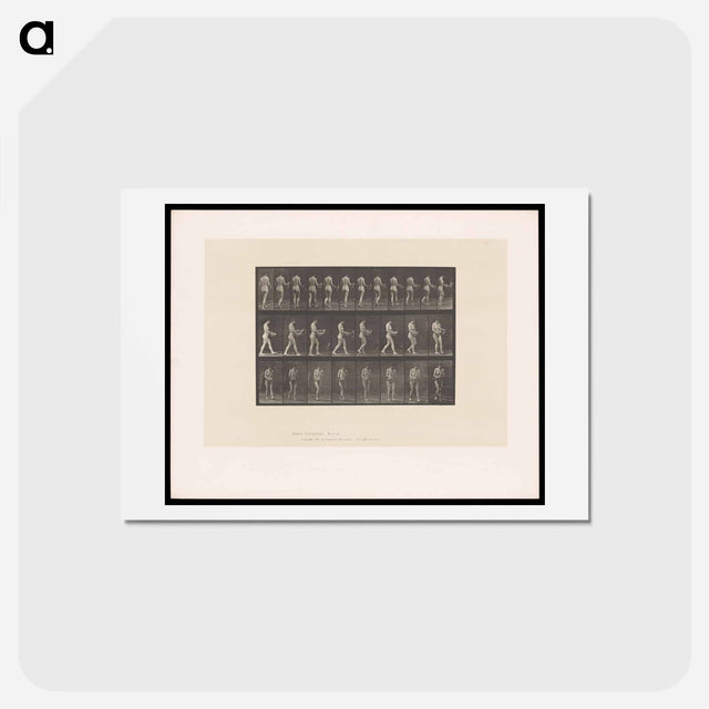 アートポストカード-Naked Woman Walking
 - エドワード マイブリッジ Postcard.