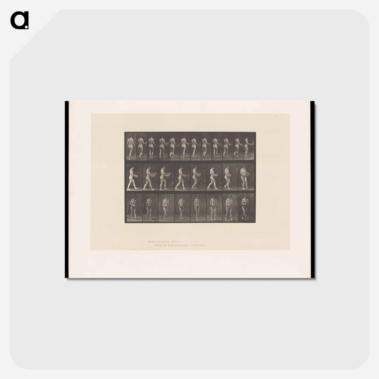 アートポストカード-Naked Woman Walking
 - エドワード マイブリッジ Postcard.