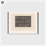 アートポストカード-Naked Woman Walking
 - エドワード マイブリッジ Postcard.