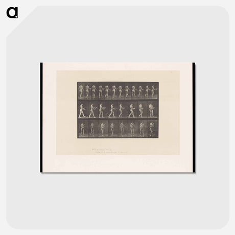 アートポストカード-Naked Woman Walking
 - エドワード マイブリッジ Postcard.