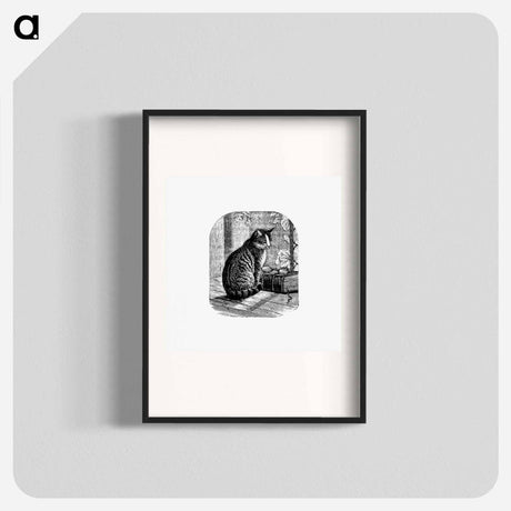 アートポスター-Domestic Cat from Aileen Aroon, A Memoir Of A Dog
 - 大英図書館 Poster.