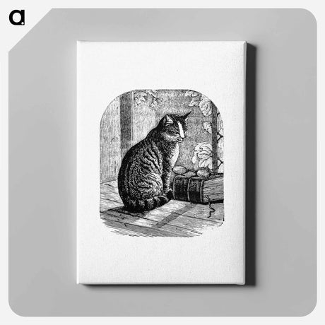 アートパネル-Domestic Cat from Aileen Aroon, A Memoir Of A Dog
 - 大英図書館 Canvas.