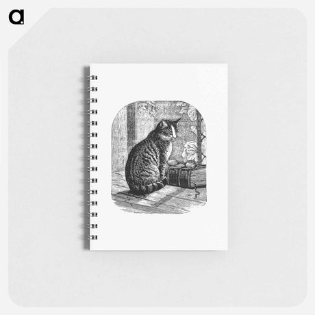 アートメモ帳-Domestic Cat from Aileen Aroon, A Memoir Of A Dog
 - 大英図書館 Memo.