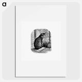 アートポスター-Domestic Cat from Aileen Aroon, A Memoir Of A Dog
 - 大英図書館 Poster.