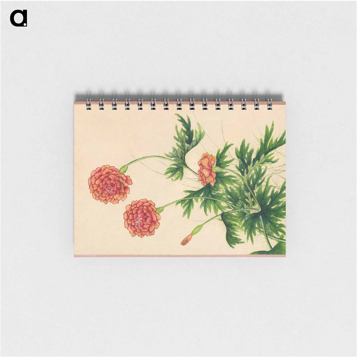 アートメモ帳-Peony
 - クリーブランド美術館 Memo.