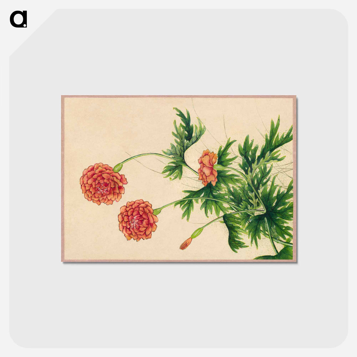 アートポストカード-Peony
 - クリーブランド美術館 Postcard.