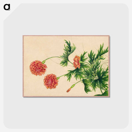 アートポストカード-Peony
 - クリーブランド美術館 Postcard.